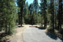  LaPine State Park 130