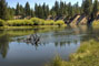 LaPine State Park River View