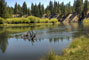  LaPine State Park Blick auf den Fluss