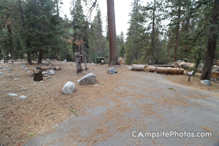 Lodgepole Sequoia 166