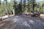 Lodgepole Sequoia 038