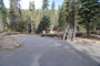 Lodgepole Sequoia 058