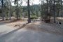 Lodgepole Sequoia 059