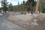 Lodgepole Sequoia 065