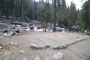 Lodgepole Sequoia 066
