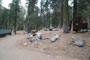 Lodgepole Sequoia 095