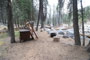 Lodgepole Sequoia 097