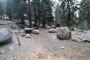 Lodgepole Sequoia 108