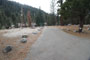 Lodgepole Sequoia 158