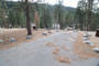 Lodgepole Sequoia 160