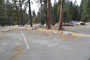 Lodgepole Sequoia 168