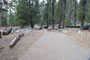 Lodgepole Sequoia 173