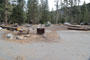 Lodgepole Sequoia 180