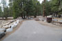 Lodgepole Sequoia 182