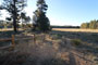Laguna Campground Meadow View