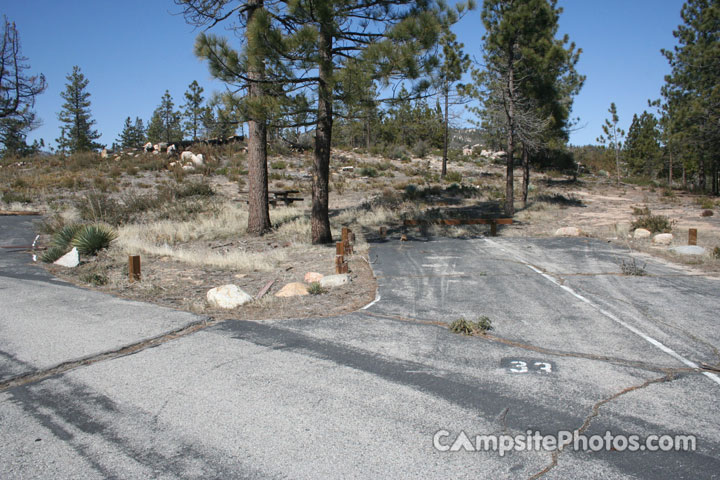 Chilao Campground Little Pines Loop 033