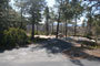 Chilao Campground Little Pines Loop 020