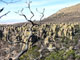 Bonita Canyon View 1