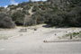 Pyramid Lake Los Alamos Campground 032