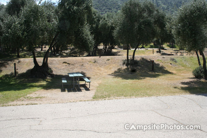Lake Piru Olive Grove Campground 067