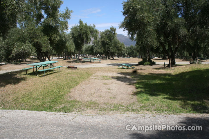 Lake Piru Olive Grove Campground 104
