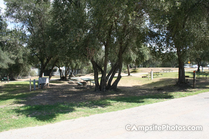 Lake Piru Olive Grove Campground 167