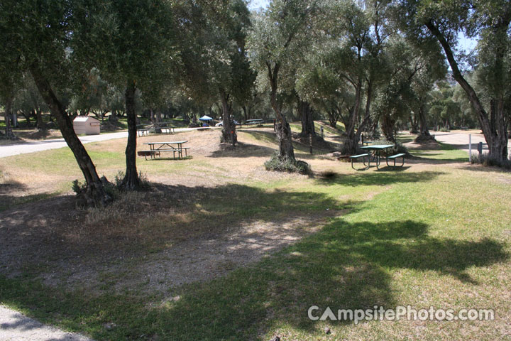 Lake Piru Olive Grove Campground 169