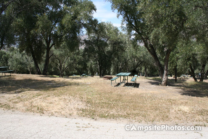 Lake Piru Olive Grove Campground 195