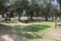 Lake Piru Olive Grove Campground 026