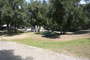 Lake Piru Olive Grove Campground 033