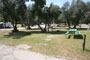 Lake Piru Olive Grove Campground 037