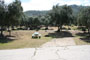 Lake Piru Olive Grove Campground 049
