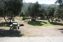 Lake Piru Olive Grove Campground 050