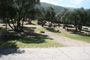 Lake Piru Olive Grove Campground 051