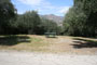 Lake Piru Olive Grove Campground 053