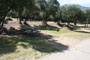 Lake Piru Olive Grove Campground 059