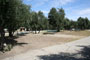 Lake Piru Olive Grove Campground 062