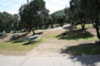 Lake Piru Olive Grove Campground 071