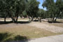 Lake Piru Olive Grove Campground 074