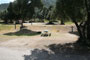 Lake Piru Olive Grove Campground 083