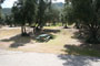 Lake Piru Olive Grove Campground 085