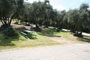 Lake Piru Olive Grove Campground 092