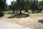 Lake Piru Olive Grove Campground 095