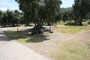 Lake Piru Olive Grove Campground 101