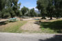 Lake Piru Olive Grove Campground 104