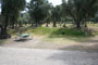 Lake Piru Olive Grove Campground 116