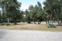 Lake Piru Olive Grove Campground 117