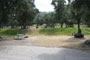 Lake Piru Olive Grove Campground 118