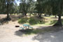 Lake Piru Olive Grove Campground 126