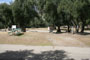 Lake Piru Olive Grove Campground 147
